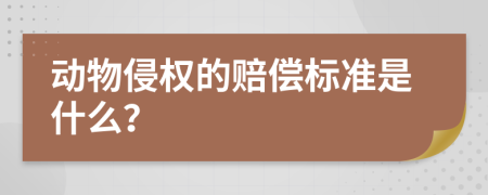 动物侵权的赔偿标准是什么？