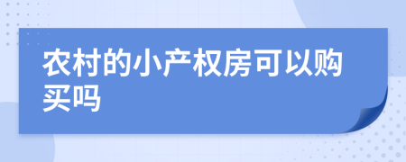 农村的小产权房可以购买吗