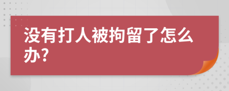 没有打人被拘留了怎么办?