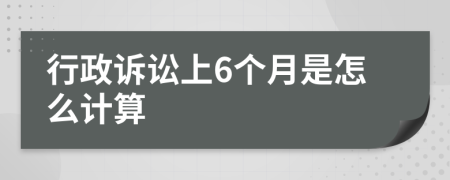 行政诉讼上6个月是怎么计算