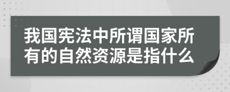 我国宪法中所谓国家所有的自然资源是指什么