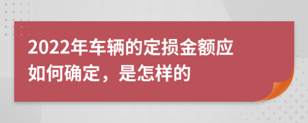 2022年车辆的定损金额应如何确定，是怎样的