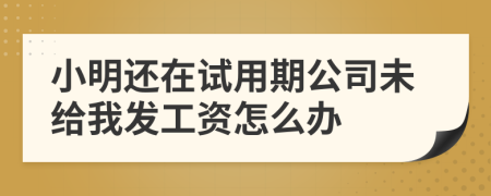 小明还在试用期公司未给我发工资怎么办