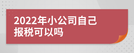 2022年小公司自己报税可以吗