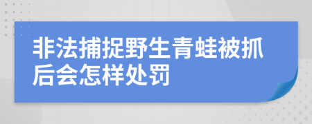 非法捕捉野生青蛙被抓后会怎样处罚