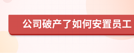 公司破产了如何安置员工