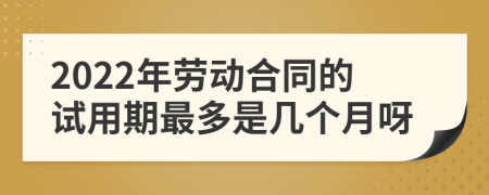 2022年劳动合同的试用期最多是几个月呀