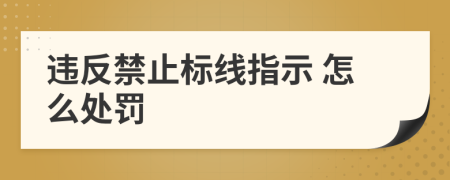  违反禁止标线指示 怎么处罚