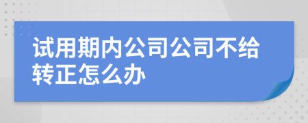 试用期内公司公司不给转正怎么办