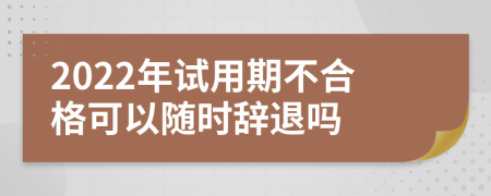 2022年试用期不合格可以随时辞退吗