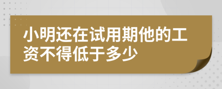 小明还在试用期他的工资不得低于多少