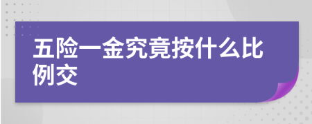 五险一金究竟按什么比例交