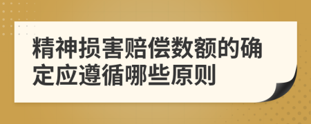 精神损害赔偿数额的确定应遵循哪些原则