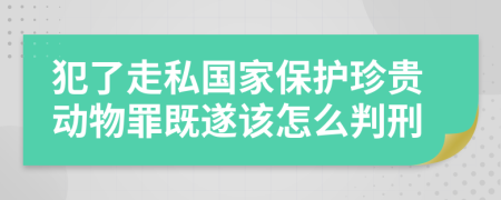 犯了走私国家保护珍贵动物罪既遂该怎么判刑