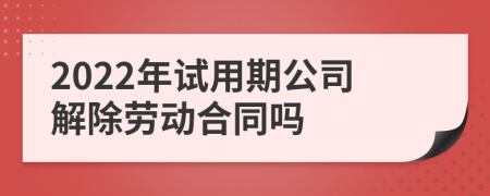 2022年试用期公司解除劳动合同吗