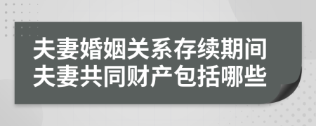 夫妻婚姻关系存续期间夫妻共同财产包括哪些