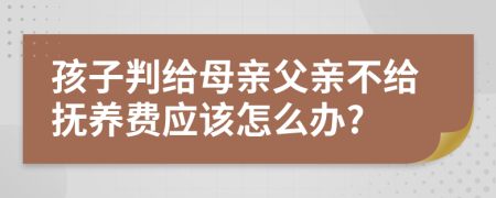 孩子判给母亲父亲不给抚养费应该怎么办?