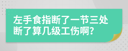 左手食指断了一节三处断了算几级工伤啊？