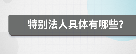 特别法人具体有哪些？
