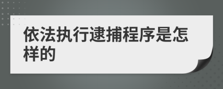 依法执行逮捕程序是怎样的