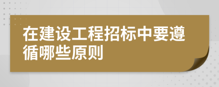 在建设工程招标中要遵循哪些原则