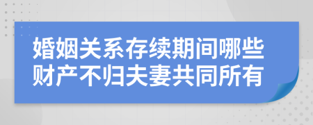 婚姻关系存续期间哪些财产不归夫妻共同所有