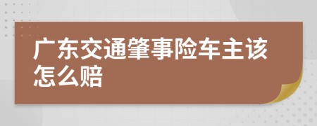 广东交通肇事险车主该怎么赔