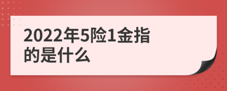 2022年5险1金指的是什么