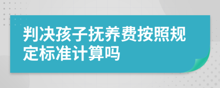 判决孩子抚养费按照规定标准计算吗
