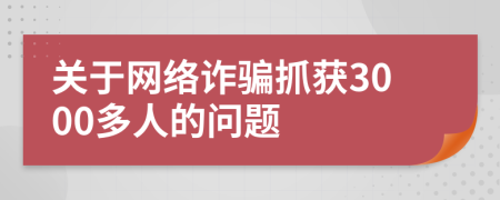 关于网络诈骗抓获3000多人的问题