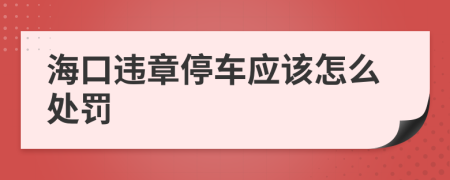 海口违章停车应该怎么处罚