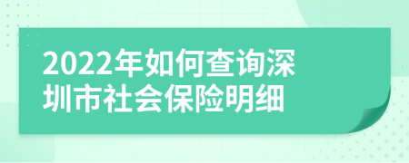 2022年如何查询深圳市社会保险明细