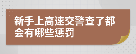 新手上高速交警查了都会有哪些惩罚