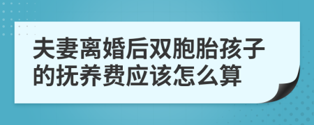 夫妻离婚后双胞胎孩子的抚养费应该怎么算