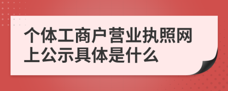 个体工商户营业执照网上公示具体是什么