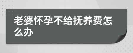 老婆怀孕不给抚养费怎么办