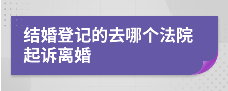 结婚登记的去哪个法院起诉离婚