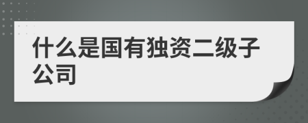 什么是国有独资二级子公司