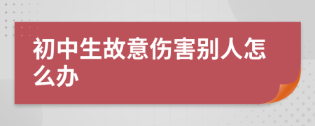 初中生故意伤害别人怎么办