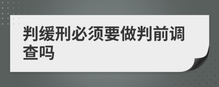 判缓刑必须要做判前调查吗