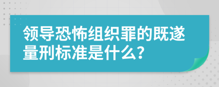 领导恐怖组织罪的既遂量刑标准是什么？