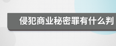 侵犯商业秘密罪有什么判