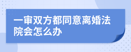 一审双方都同意离婚法院会怎么办