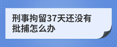 刑事拘留37天还没有批捕怎么办