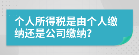 个人所得税是由个人缴纳还是公司缴纳？