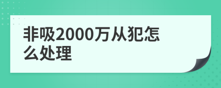 非吸2000万从犯怎么处理