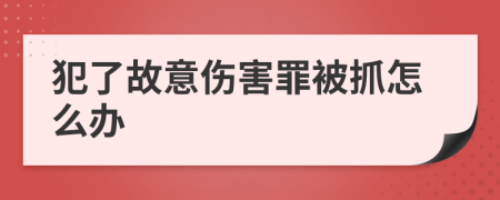 犯了故意伤害罪被抓怎么办