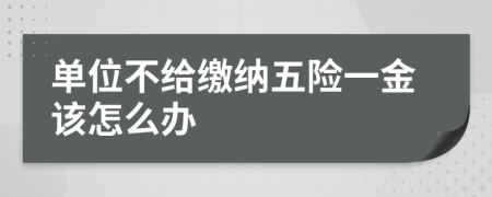 单位不给缴纳五险一金该怎么办