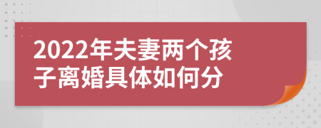 2022年夫妻两个孩子离婚具体如何分