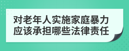 对老年人实施家庭暴力应该承担哪些法律责任